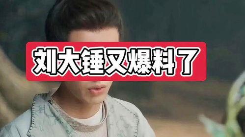 刘大锤爆料情侣视频大全,情侣甜蜜瞬间大盘点  第2张