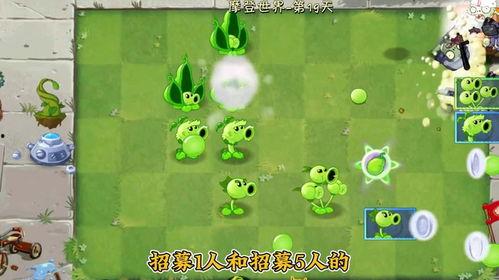 魔豆神器爆料视频,视频爆料带你领略神奇魔力 第2张 魔豆神器爆料视频,视频爆料带你领略神奇魔力 第2张